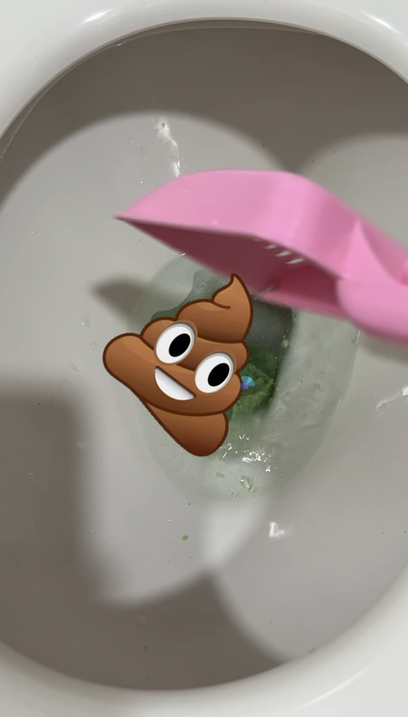 試用